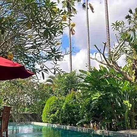 Enchanting Canggu Villa