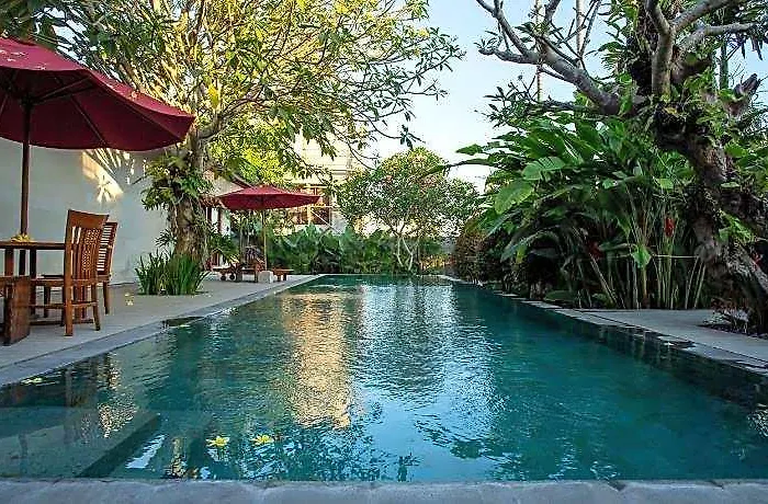Enchanting Canggu