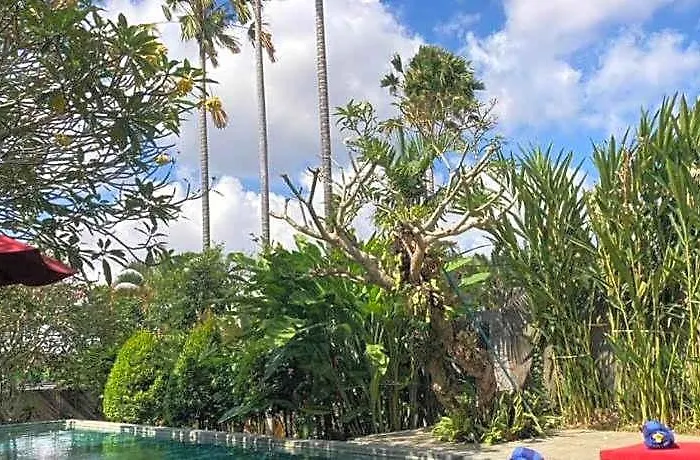 Enchanting Canggu